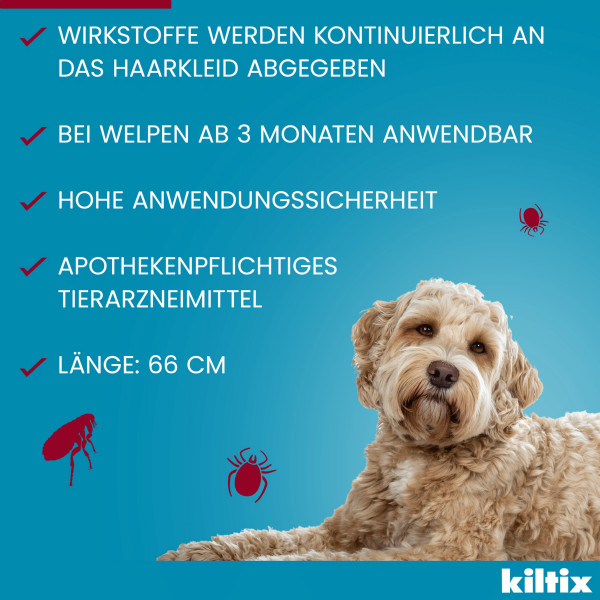 KILTIX Halsband f.große Hunde
