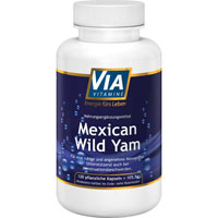 VIAVITAMINE Mexican wild Yam Kapseln