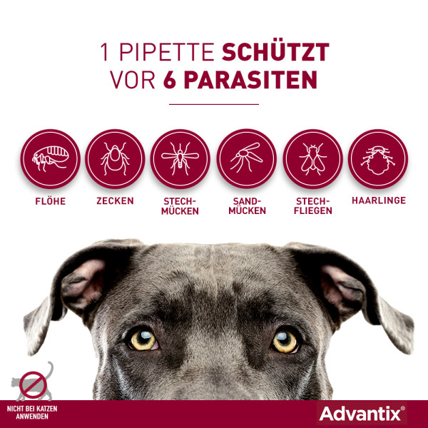 Advantix® Spot on für Hunde 25 - 40 kg