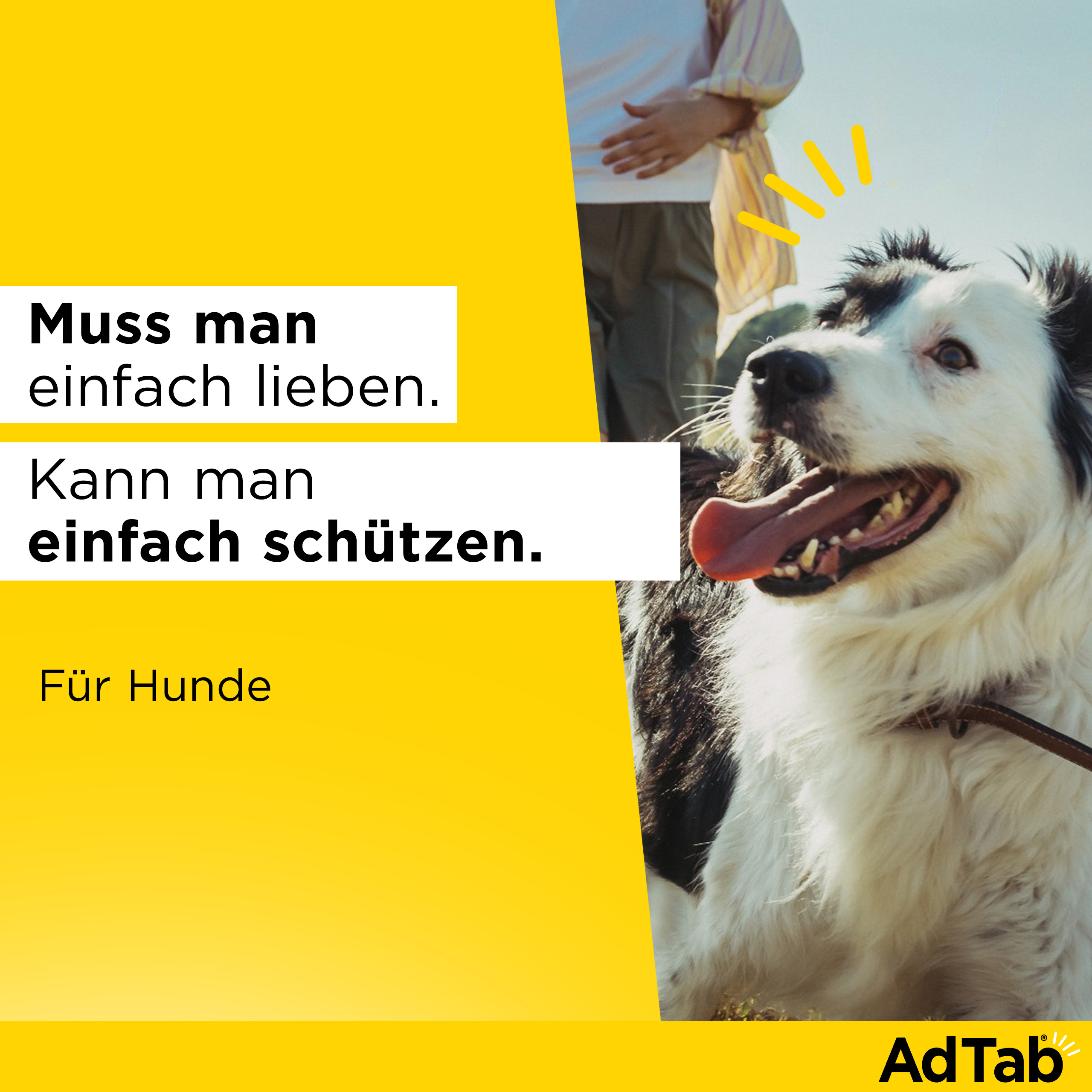 ADTAB 900 mg Kautabletten für Hunde >22-45 kg