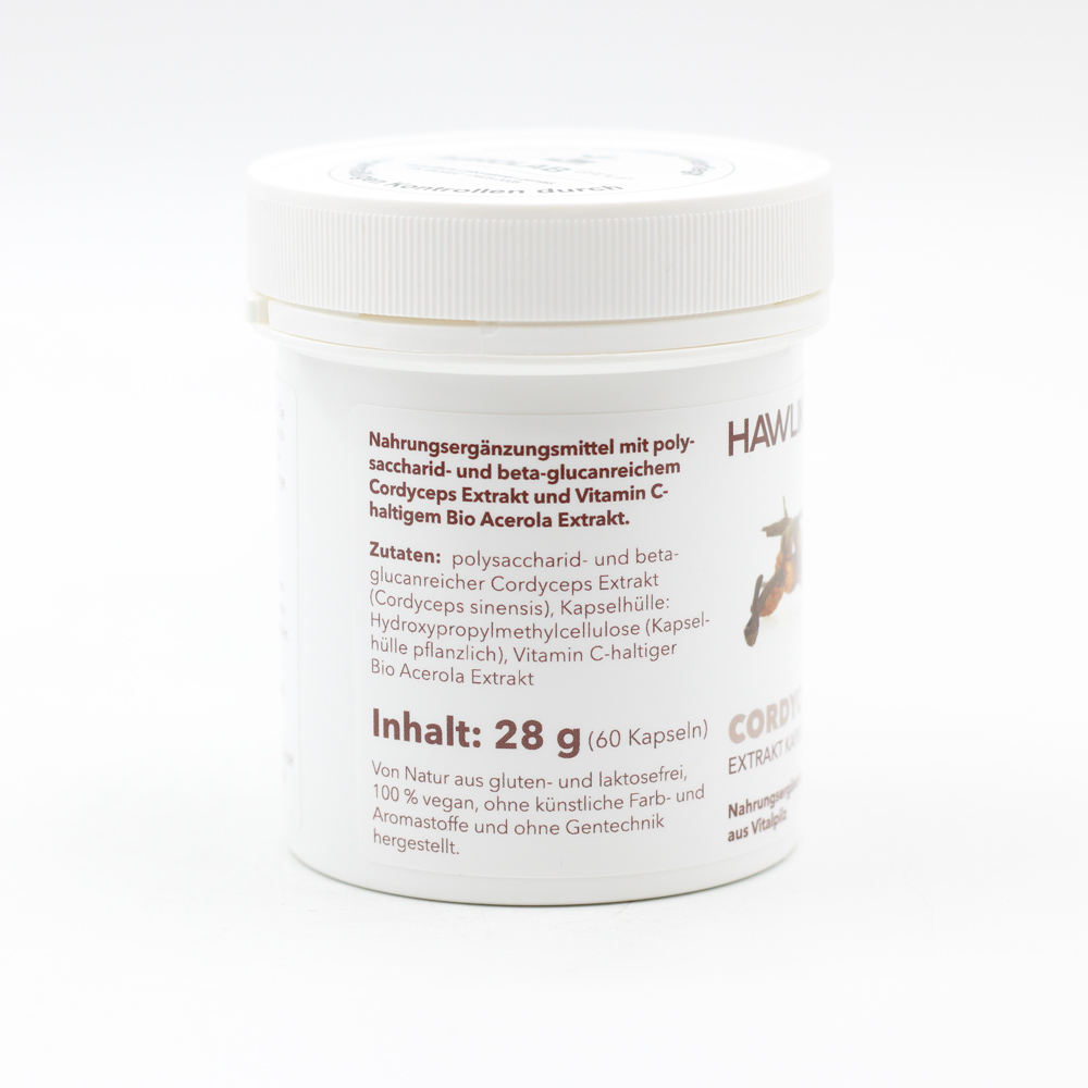 CORDYCEPS EXTRAKT Kapseln