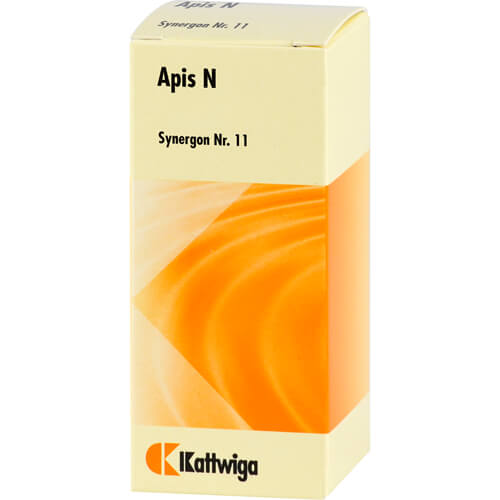 SYNERGON KOMPLEX 11 Apis N Tropfen