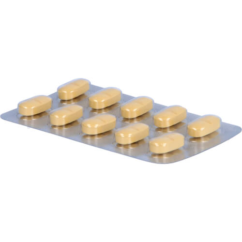 GINKGO AbZ 120 mg Filmtabletten