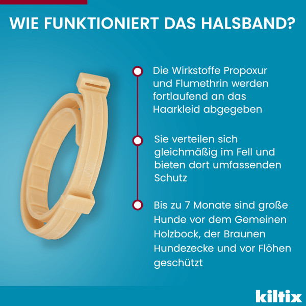 KILTIX Halsband f.große Hunde