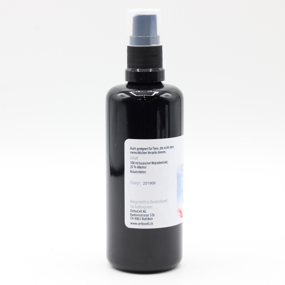 WILDE KARDE basisch Spray