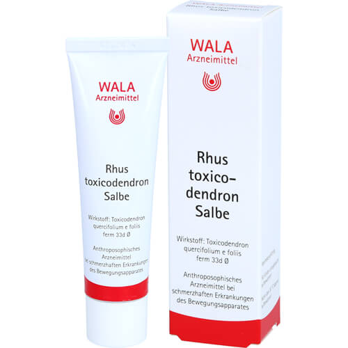 RHUS TOXICODENDRON SALBE