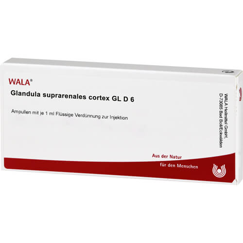 GLANDULA SUPRARENALES cortex GL D 6 Ampullen