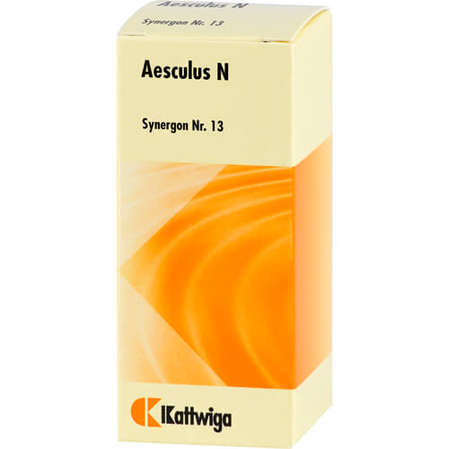 SYNERGON KOMPLEX 13 Aesculus N Tropfen